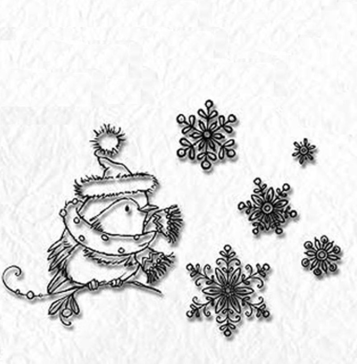 Ct004 Nellie Snellen Clearstamp - Robin - roodborstje met muts - winter - ijskristallen - stempel vogel